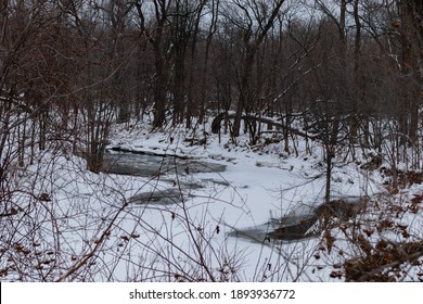 Walking In A Winter Day In St Charles River