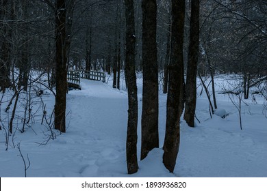 Walking In A Winter Day In St Charles River