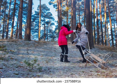 Walking in the winter  woods  with sledge