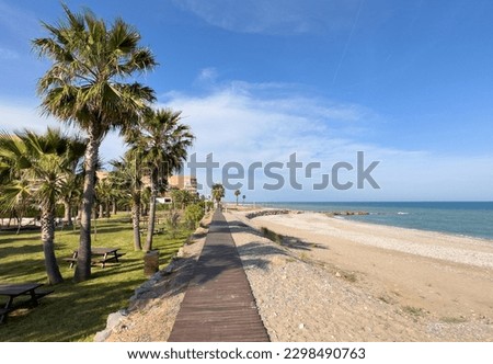Walking wooden path to sea. Palms tree at empty beach at ocean. Palm trees near coastline of Mediterranean sea. Ecological trail at Palms on Pebble beach. Ecotrail with wooden deckin near coastline
