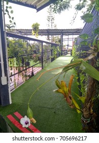 walkway