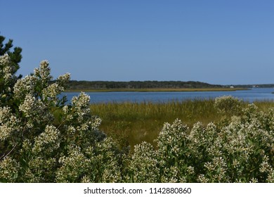 Walkway Along The Marshes Of Southampton, New York