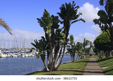 Walkway Along The Shore Of The Harbor At Shelter Island San Diego