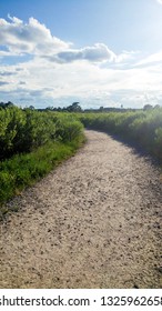 Walkway To The Beach In Hampton VA