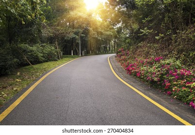 156,099 Beautiful Pavement Images, Stock Photos & Vectors | Shutterstock