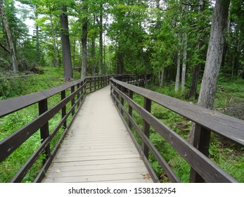 Walkway In Big Bay State Park, Madeline Island, Wisconsin