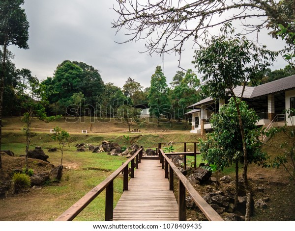 The walkway is a bridge\
in nature. Jungle Trees and Waterfalls. Meaning of travel,\
adventure and tourism.