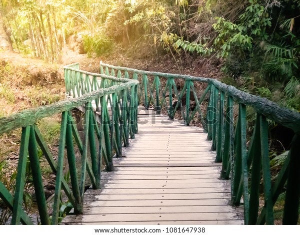 The walkway is a bridge\
in nature. Jungle Trees and Waterfalls. Meaning of travel,\
adventure and tourism.