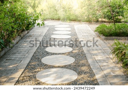 Walkway and bush in garden. Also called concrete pavement, floor, passage, path, footpath, pathway or passageway. Include natural plant, lawn and grass. For walking along and decorative park, garden.