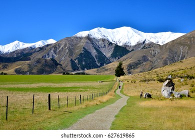 Walkway To Castle Hill, NZ