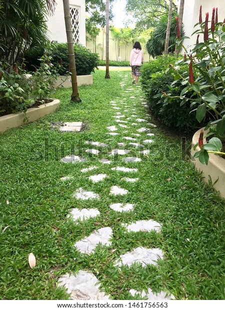 Walkway Design Garden Decorated Rock Objects Stock Photo Edit Now