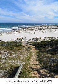 Walkway Down To Platboom Beach In Cape Point Nature Reserve Cape Town South Africa 