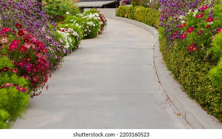 Walkway in flower garden in summer time. View of Colourful Flowerbeds in a good care maintenance landscapes and asfalt concrete walkway. Nobody, street photo, selective focus, blurred