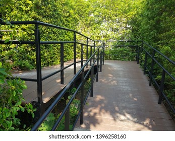 Walkway In The Garden And Curb Ramp For Wheelchair