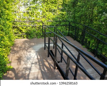 Walkway In The Garden And Curb Ramp For Wheelchair