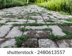 Walkway in the garden with green grass growing on the sidewalk.