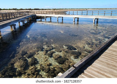 Walkway At Hamelin Pool Marine Nature Reserve