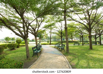 Walkway into garden - Shutterstock ID 127620809