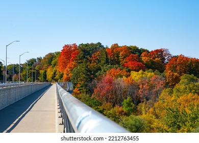 Walkway On A Bridge Over Credit River Ontario With Colorful Fall Foliage Surrounding It