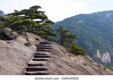 The walkway on the hillside,Landscape of Huangshan (Yellow Mountains). Huangshan Pine trees. Located in Anhui province in eastern China. It is a UNESCO World Heritage Site.