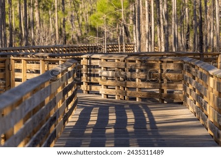 Walkway over Swamplands in the State of Alabama