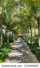 Walkway To Paradise. Marathon, Florida.