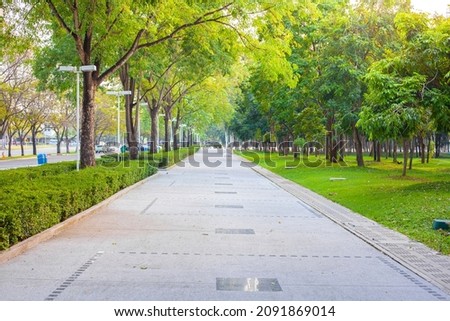 Walkway in the park in the evening.