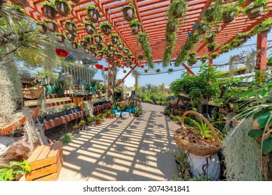 Walkway With Potted Plants On Racks Under The Red Pergola Roof With Hanging Succulent Plants