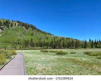 Walkway To Silver Lake Utah