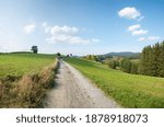 walkway in the surrounding of viechtach, tourist resort bavarian forest green hilly landscape 