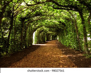 walkway with trees - Powered by Shutterstock