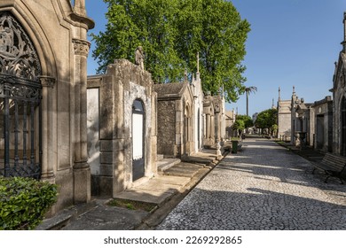 Walkway and trees in Agramonte Cemetery, Porto - Powered by Shutterstock