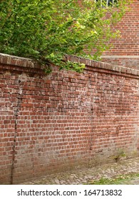 Wall
