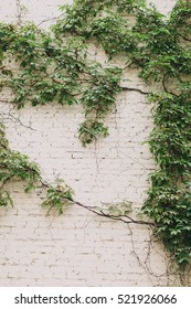 Wall