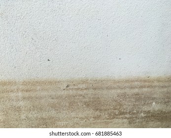 Wall