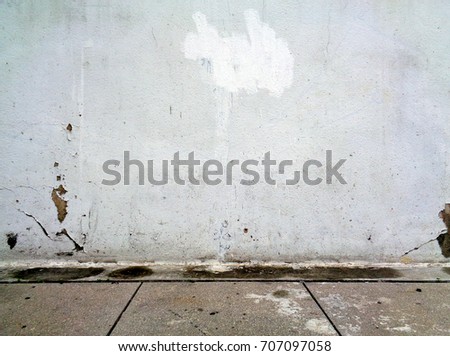 ballerina Backyard
