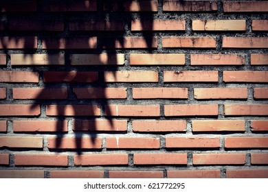Wall background and shadow
