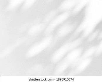 Wall background texture pattern backdrop wall