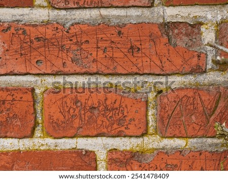 Wall background, writing and scratch on brick of building in city for texture, pattern and exterior design. Construction, architecture and closeup of words or graffiti on stone, concrete and cement