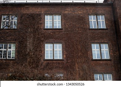 Wall of brick house. Old wooden windows on building facade. Autumn Ivy plant covered vintage buildings. Overgrown mystery home, decorative garden on wall of abandoned dark residence - Powered by Shutterstock