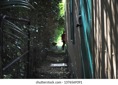 Wall Of Bushes And Building Coming Together To Form A Tunnel.