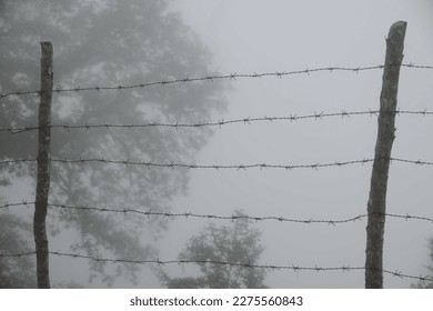 wall, camp, freedom, boundary, safety, barb, background, sky, danger, barbwire, protection, barrier, security, barbed, fence, wire