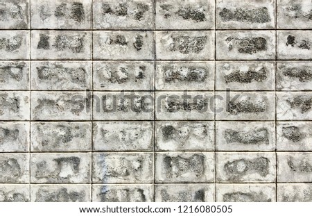 The wall of the cement block.