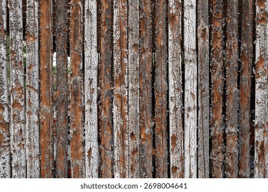A wall created by tree limbs weathered over time.