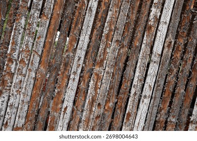 A wall created by tree limbs weathered over time.