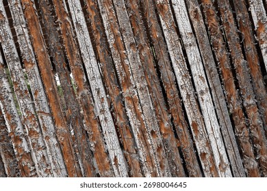 A wall created by tree limbs weathered over time.