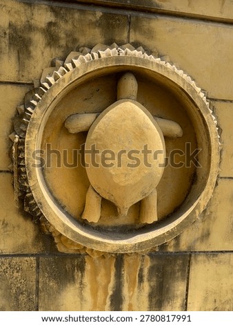wall design structure of animals 