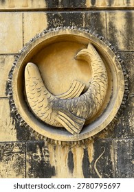 wall design structure of fish 