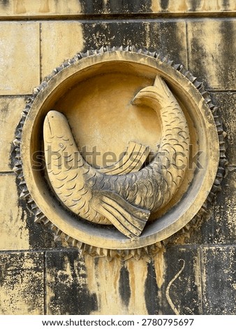 wall design structure of fish 