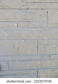 Wall Embedded With Sea Fossils